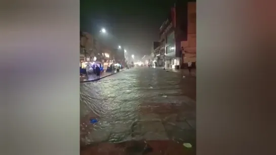 Second day of floods brings snakes and crocodiles to streets of Hyderabad, India 🇮🇳 October 14 2020