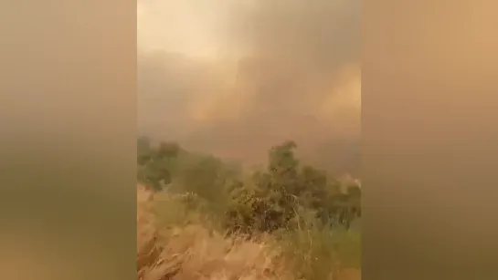 Widespread forest fires in Hatay, Turkey 🇹🇷  October 9 2020 Hatay ili yangın