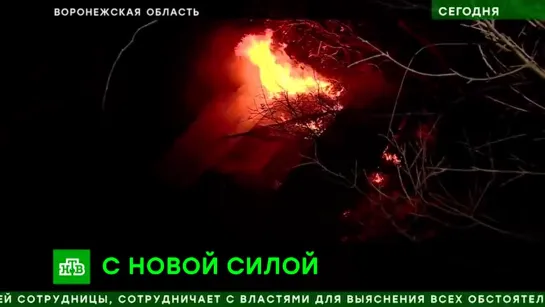 «Таких пожаров не было с советских времен»  огненный шторм в Воронежской области