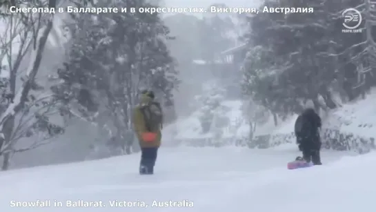 Natural disasters per day. Recovery after Hurricane Laura. Flood in Madrid. Snow in Australia