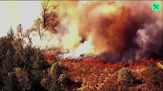 California Orders Evacuations as Napa Countys Glass Fire Spreads Dangerously Fast