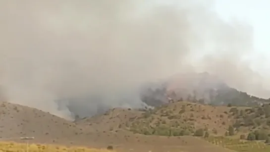 Wild fire in Albacete, Spain 🔥 July 22 2020