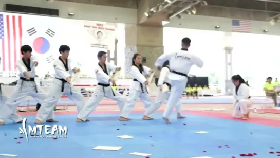 Insane Taekwondo Skills 2016