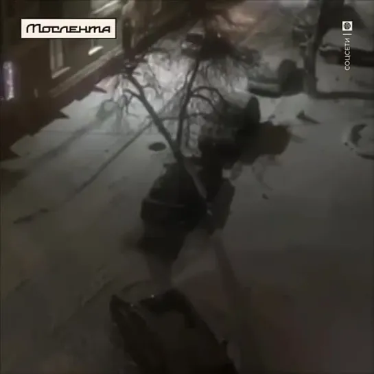 Видео от Мослента