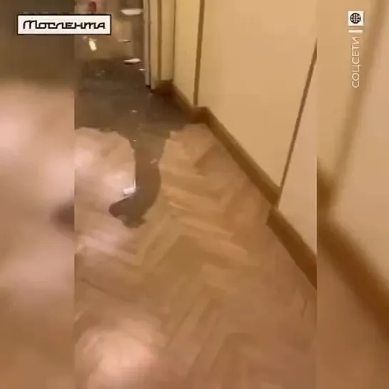 Видео от Мослента