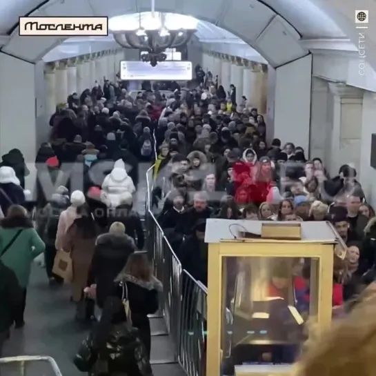 Видео от Мослента