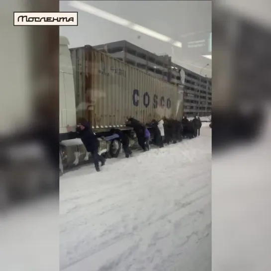 Видео от Мослента