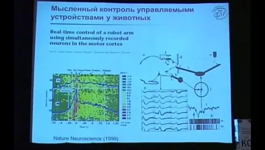 Лекция: (К.В. Анохин) "Коды мозга"