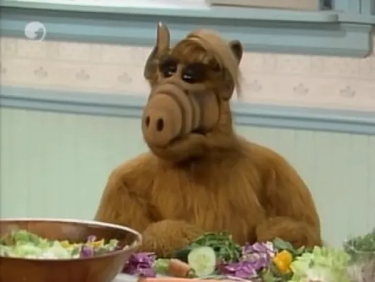 Alf - 3x09