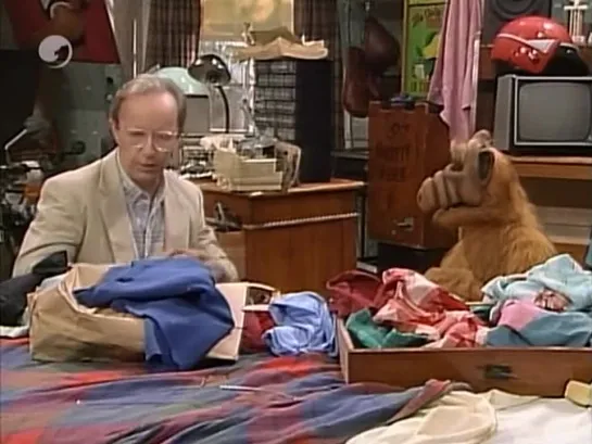 Alf - 3x16