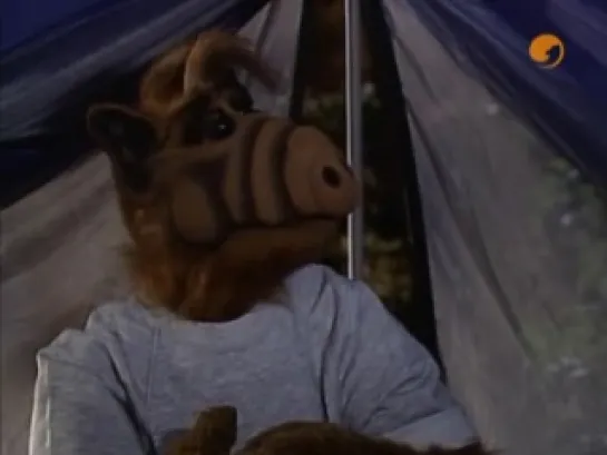 Alf - 3x22