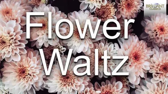 Flower Waltz