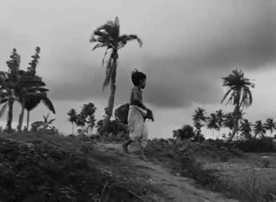 Песнь дороги  (Pather Panchali, 1955) 1 часть трилогии