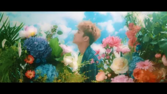 |MV| FTISLAND – Summer Night’s Dream