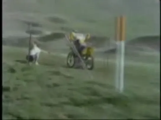 Travis Pastrana best stunt compilation