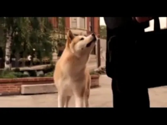 Хатико: Самый верный друг / Hachi: A Dog's Tale (2008) Трейлер