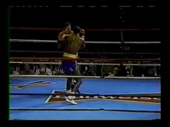 Gerald McClellan VS James Williamson