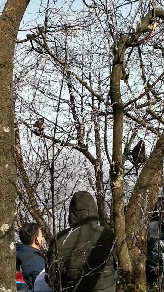 Видео от Лаврентия Жайи