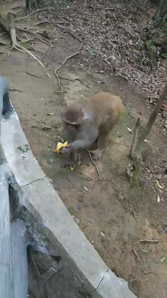 Видео от Лаврентия Жайи