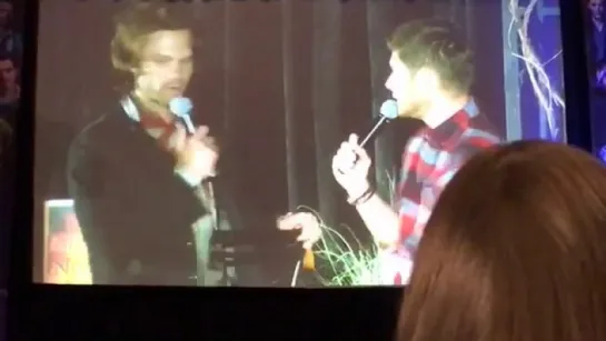 J2 ♥ - Burcon16 (котики крутятся на стульях)