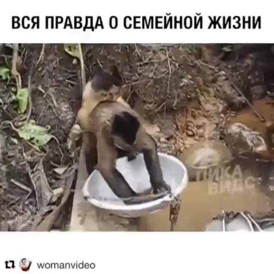 ВСЯ СУТЬ СЕМЕЙНОЙ ЖИЗНИ