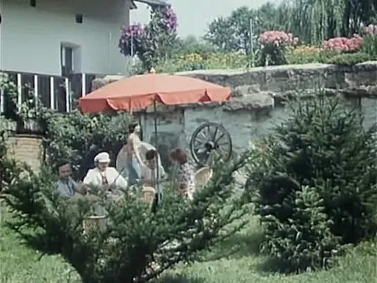 Na samotě u lesa (1976). Komedie / Rodinný