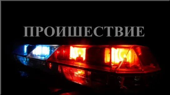 В Соловьином пруду обнаружили тело