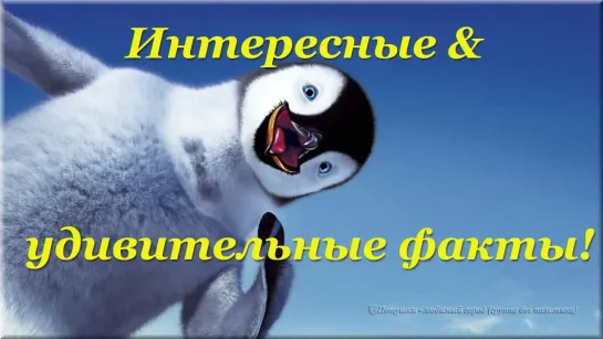 Cамки сверчков предпочитают более слабых самцов