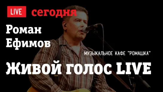 Музыкальное кафе "Ромашка" | LIVE 24.02.2017г. с 20.00 до 23.00 мск