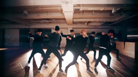 EXO Monster Dance Practice ver.