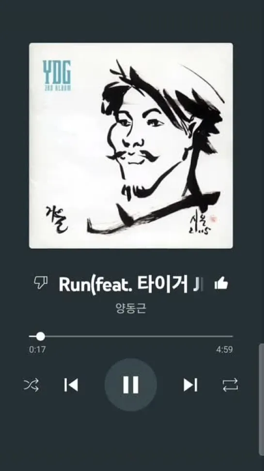 🎶Run - YDG Feat. Drunken Tiger