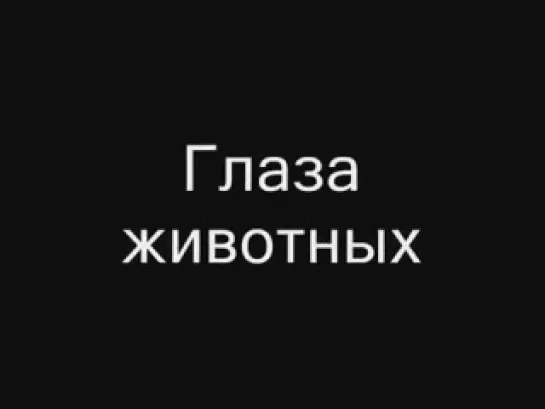 Удивительные природные явления 25