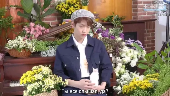 [рус.саб] [T:TIME] Cat&Dog Jacket shooting #5 SOOBIN - TXT (Tomorrow X Together))