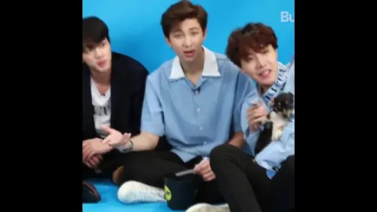 bts with the pps ( the puppies )