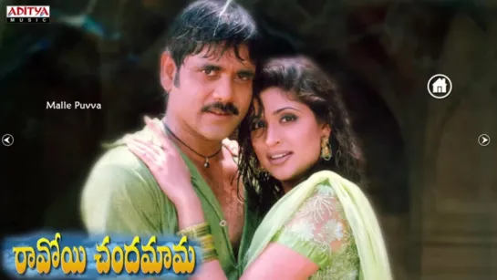 "Ravoyi Chandamama" 1999 (రావోయి చందమామ ) Movie Full Songs Jukebox Nagarjuna, Anja