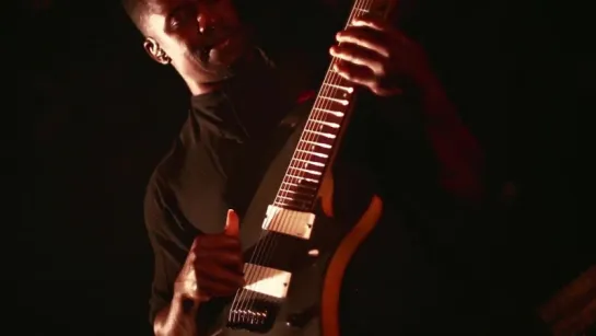 ANIMALS AS LEADERS - Cognitive Contortions