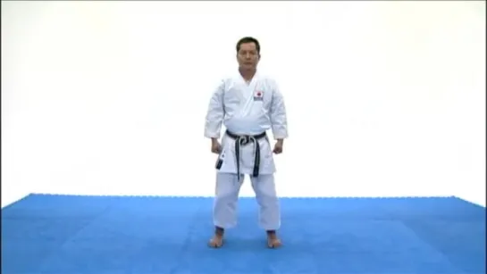 Goju Ryu basics strikes, blocks  kicks