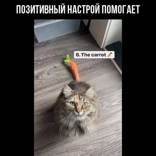 Позитивный настрой