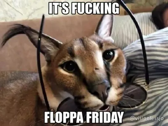 Floppa friday