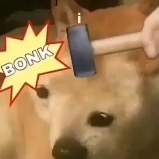 bonk