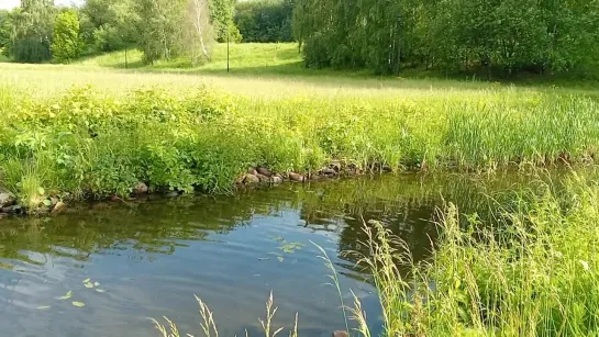 Видео от Алексея Елисеева