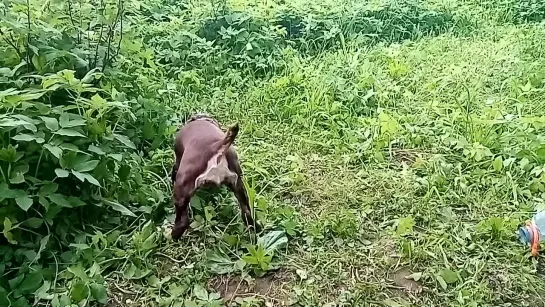 Видео от Алексея Елисеева