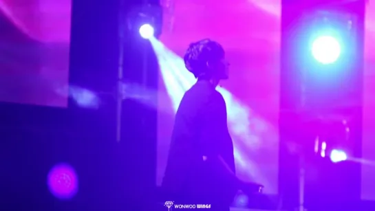 |FANCAM| Seventeen - Ah Yeah (Wonwoo focus) | 150808  @ 2015 Wanju International Rally Night