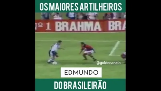 Brasileirão - Grandes Artilheiros