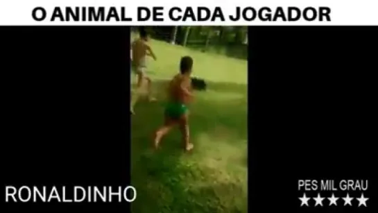 O animal de cada jogador