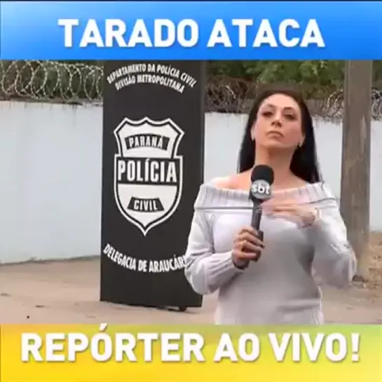 Cão Tarado