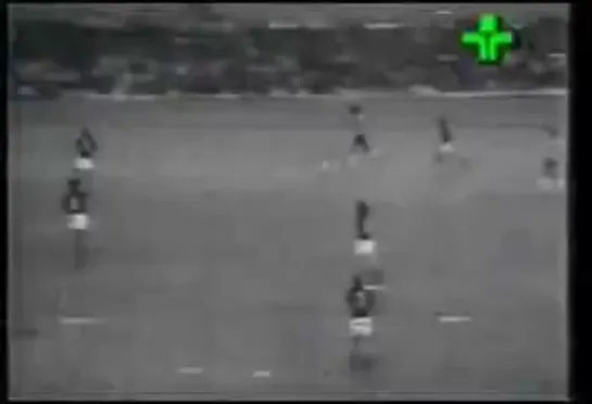 Botafogo 2 x 2 Flamengo Carioca 1975(480P).mp4