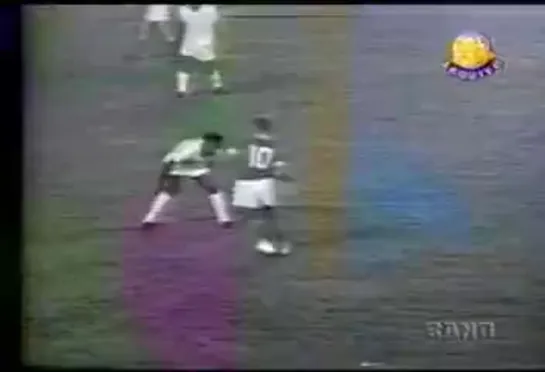 Palmeiras 1 x 0 Fluminense 1972(480P).mp4