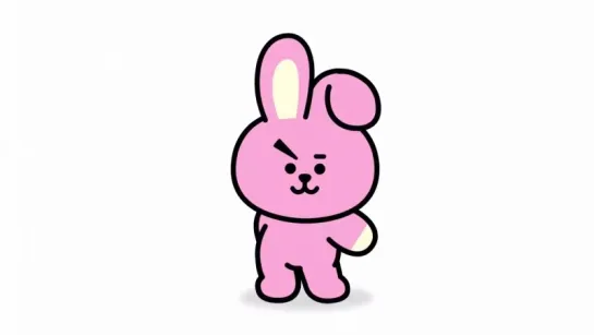 20171104 BTS BT21 COOKY