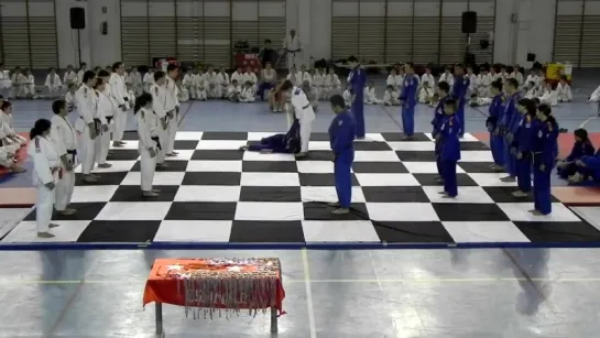 Испанские шахматы (judo chess)